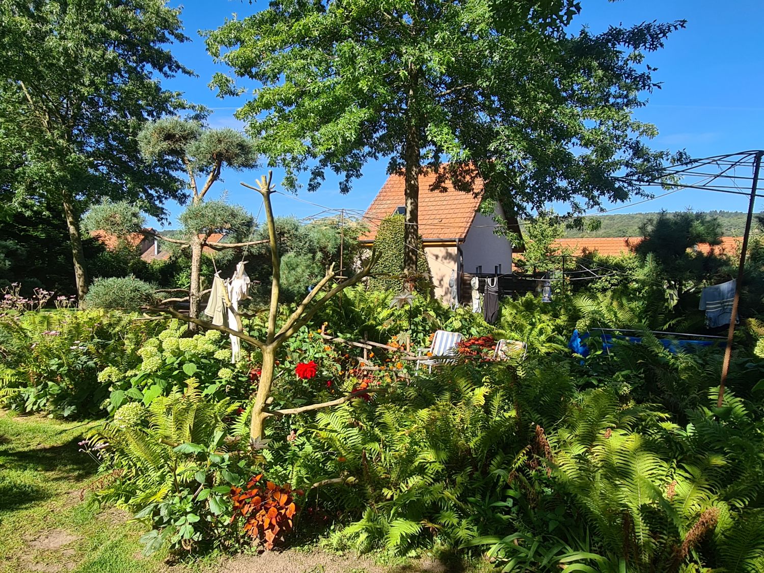Des animations sont prévues ce week-end dans le cadre de l’événement national « Rendez-vous aux jardins » à Bitche et Hombourg-Haut