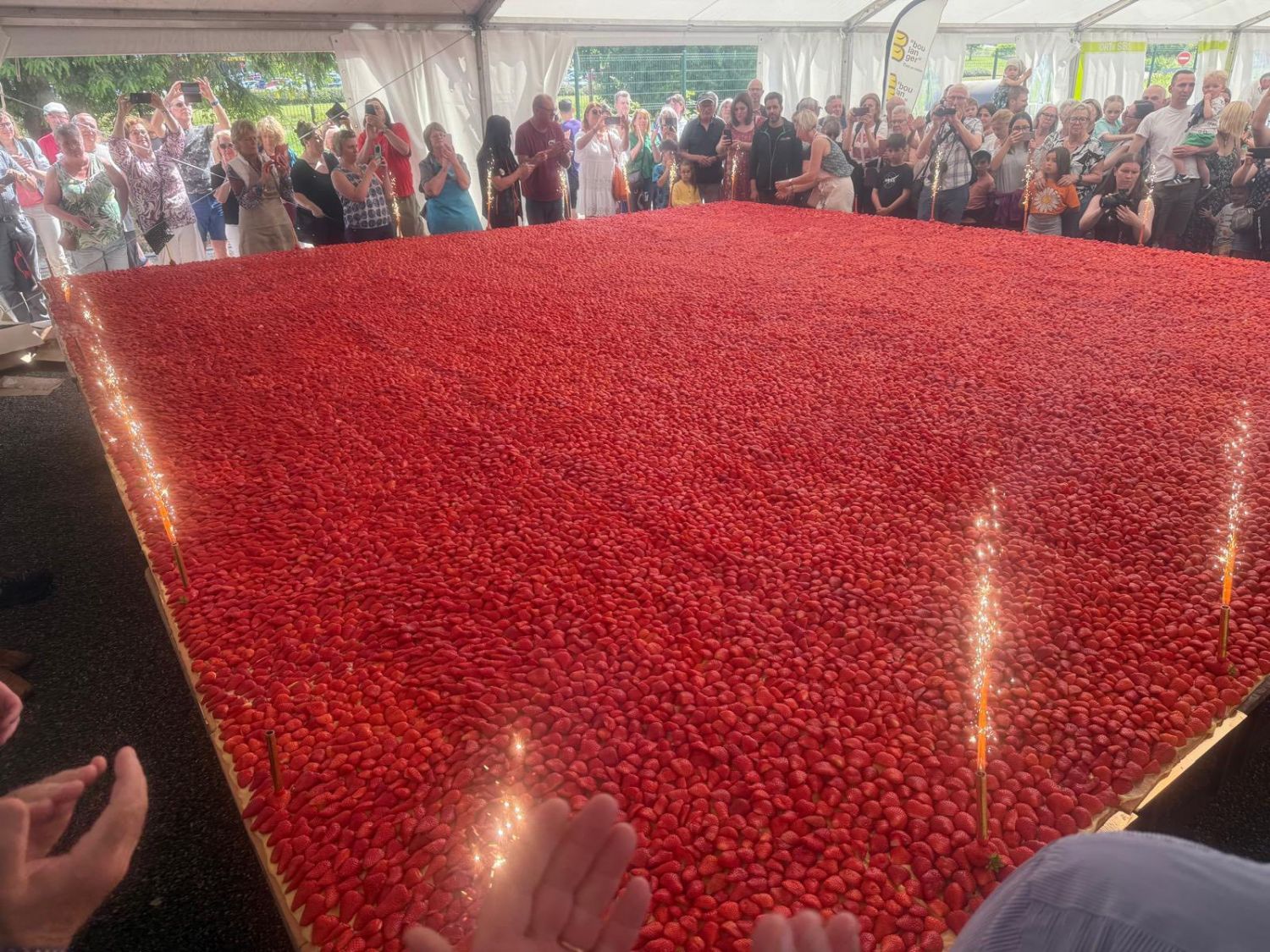 La plus grande tarte aux fraises du monde a été réalisée en Moselle