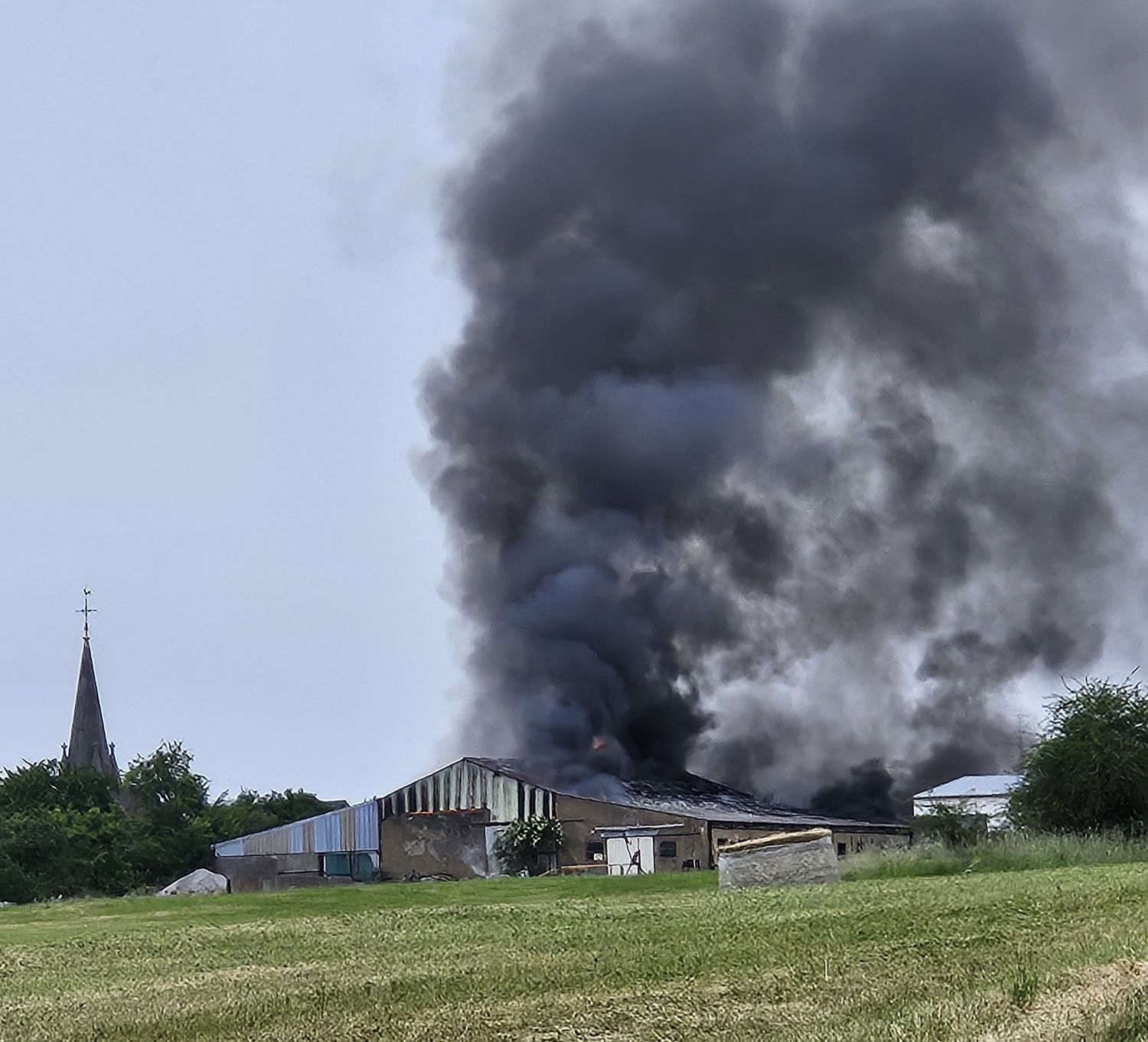 Une cagnotte en ligne a été créée pour soutenir le club Salinas Scamp’s à Farschviller