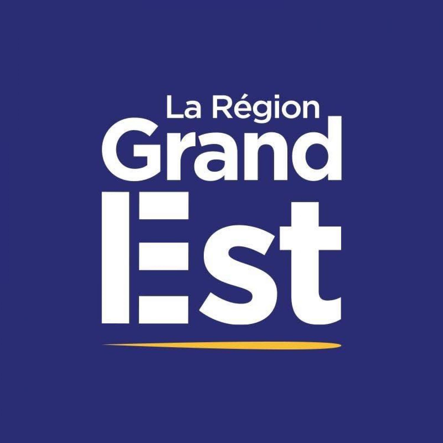 Des idées germent au conseil régional des jeunes du Grand Est