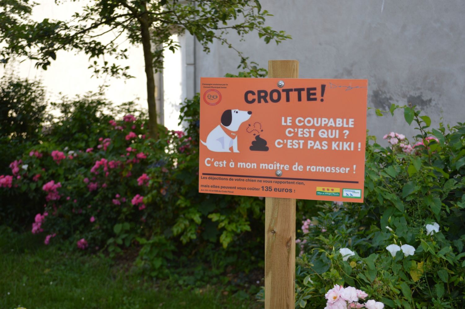 Des panneaux très originaux contre les crottes de chiens ont été installés à Dieuze