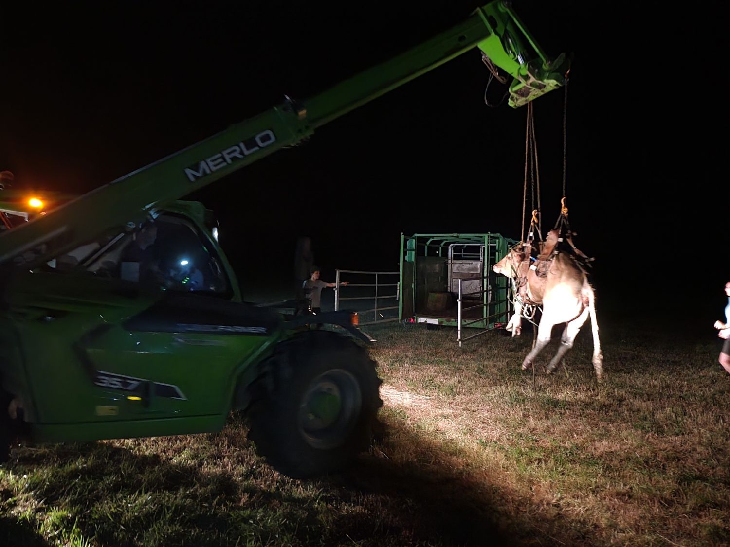 Les sapeurs-pompiers de Sarralbe ont volé au secours d’une vache la nuit dernière