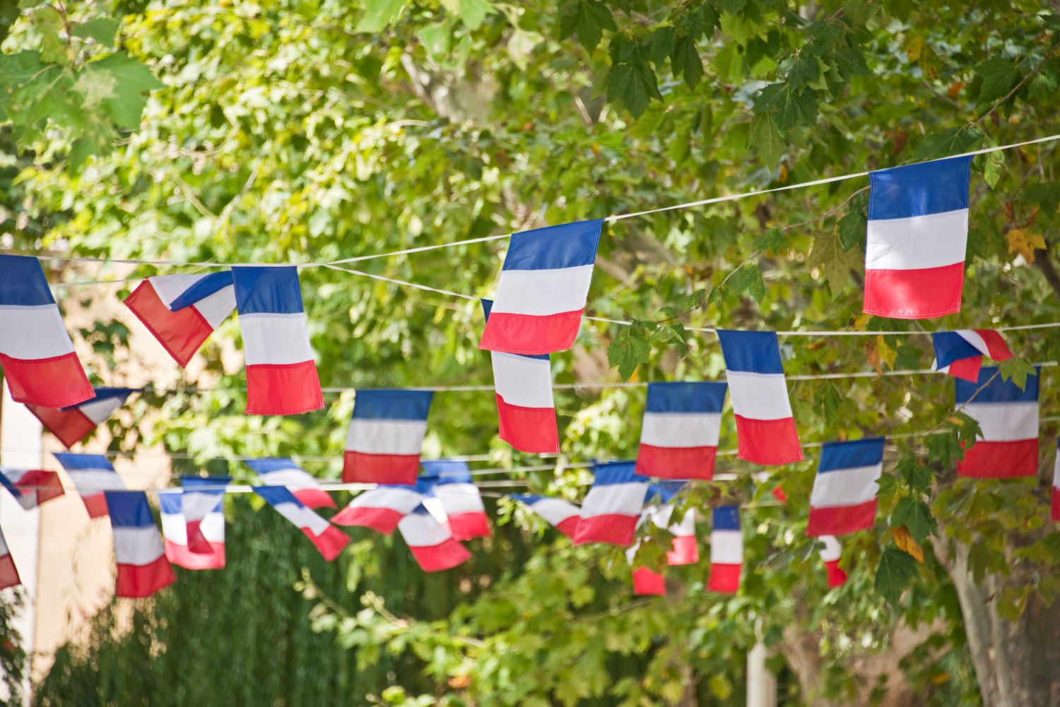14 unités de l’armée de terre basées dans le Grand Est défileront pour la fête nationale à Paris