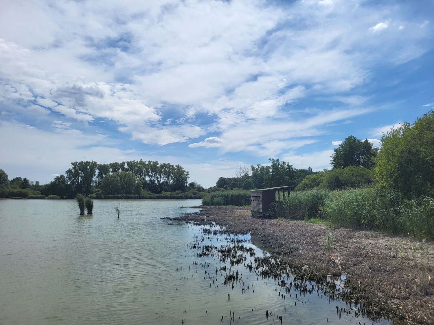La baignade est interdite jusqu’à la fin de la saison estivale au plan d’eau du Weihermatt à Walscheid