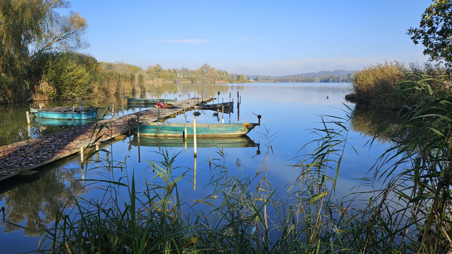 La baignade est interdite à l’étang de la Mutche à Morhange