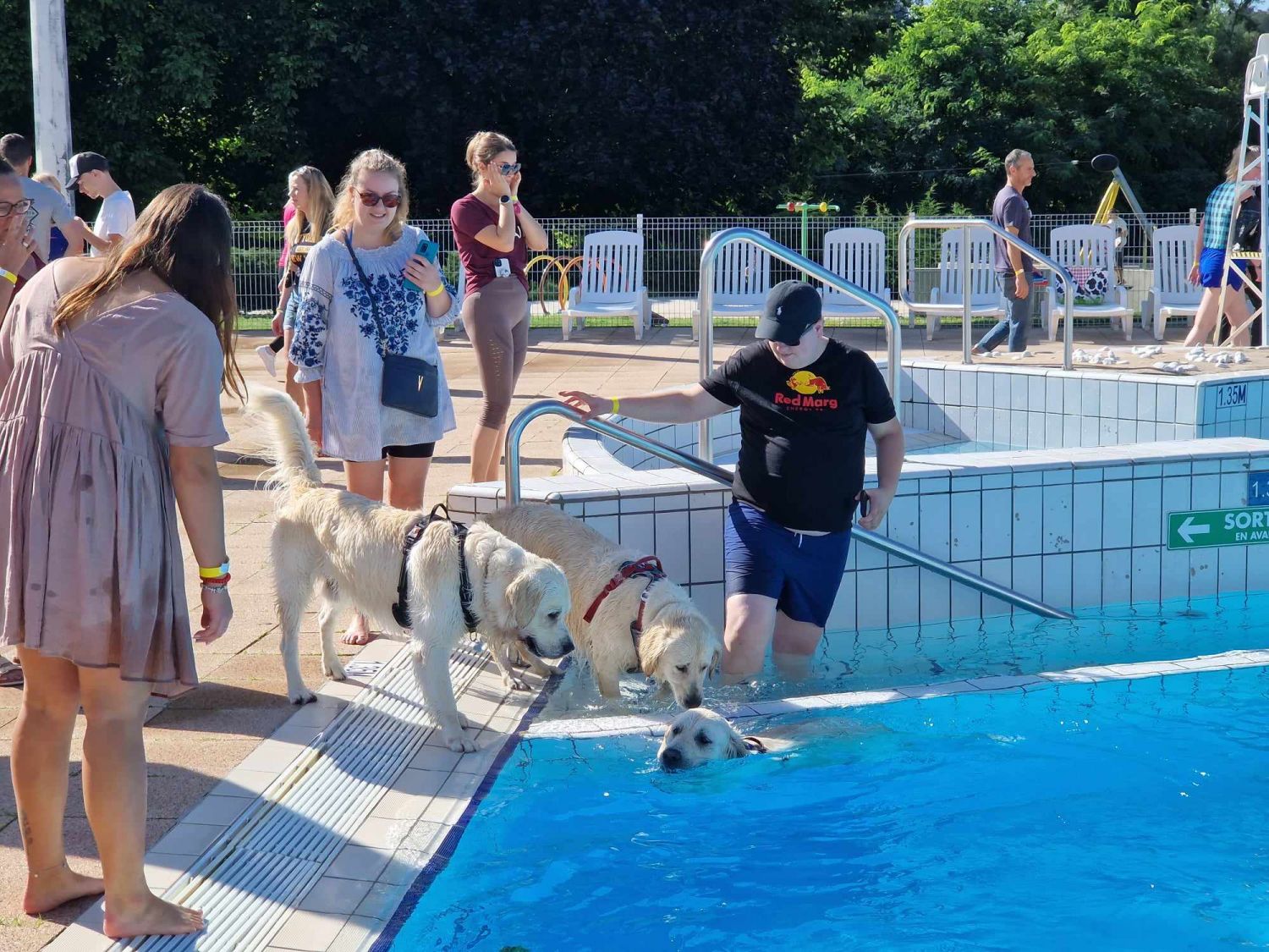 C’est une tradition à la fin de l’été, la piscine Aquagliss de Freyming-Merlebach ouvre ses portes aux chiens
