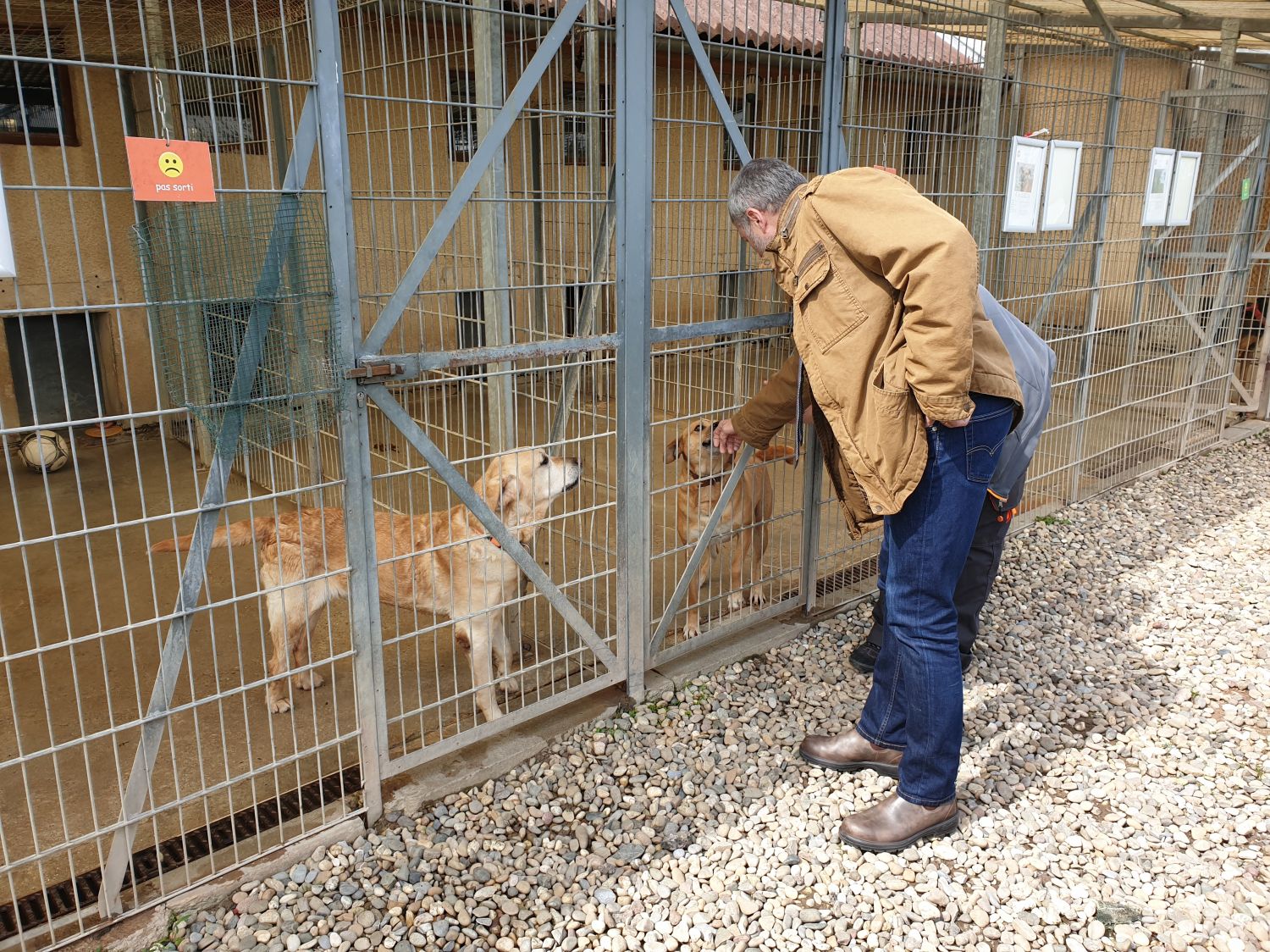 Comme au niveau national, les refuges de la SPA du secteur ont dû prendre en charge de nombreux animaux cet été