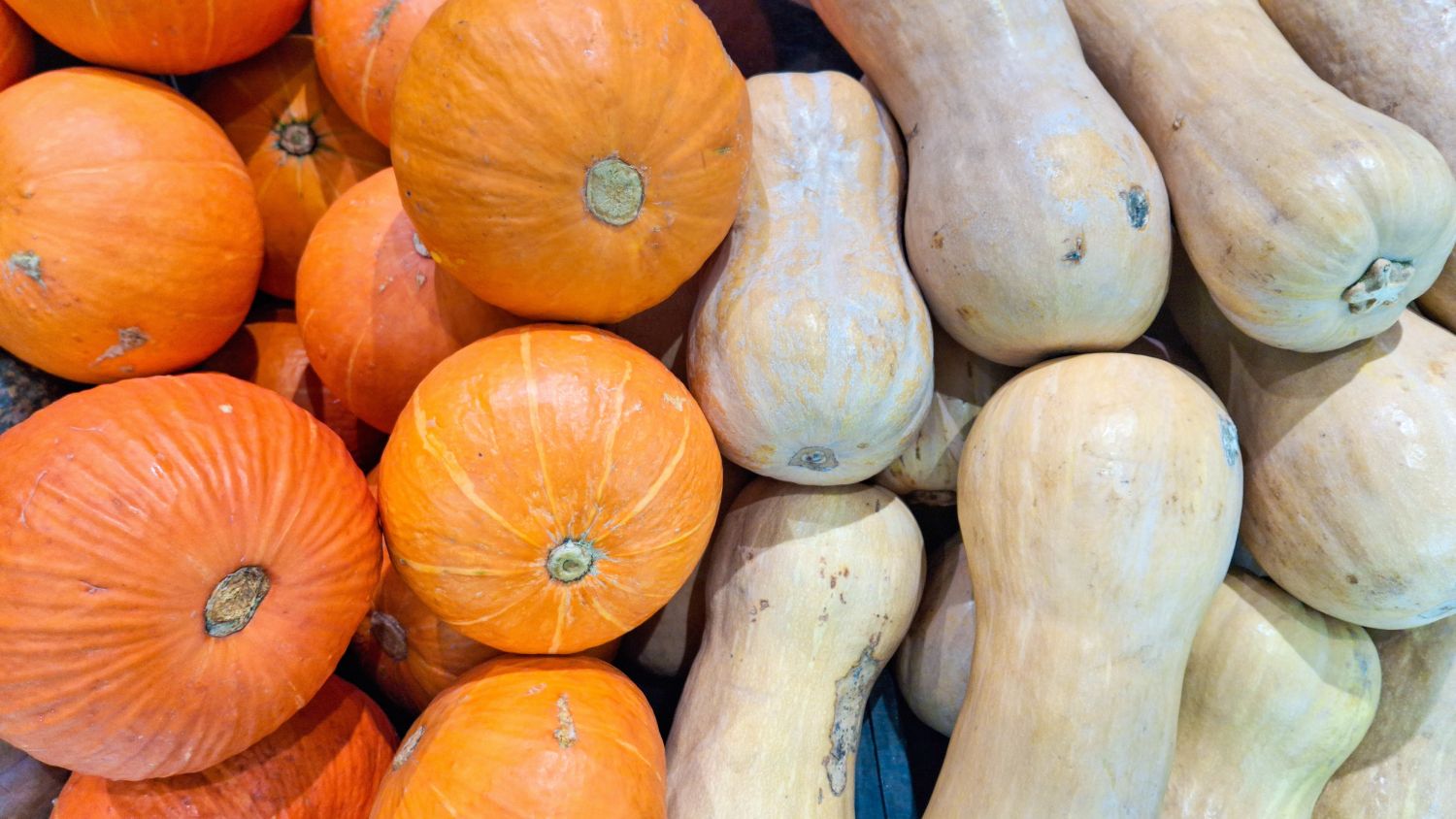 La mairie de Herbitzheim organise une vente de courges pour la bonne cause