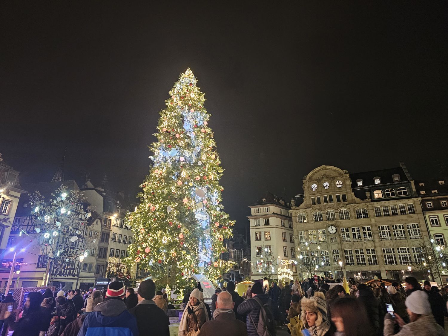 Le marché de Noël de Strasbourg a trouvé son sapin
