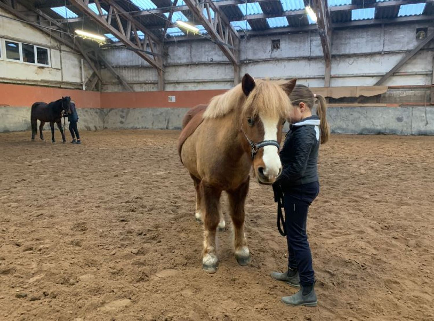Après la liquidation du Sarreguemines Jump, Kauffer Equitation reprend la gérance du centre équestre communal