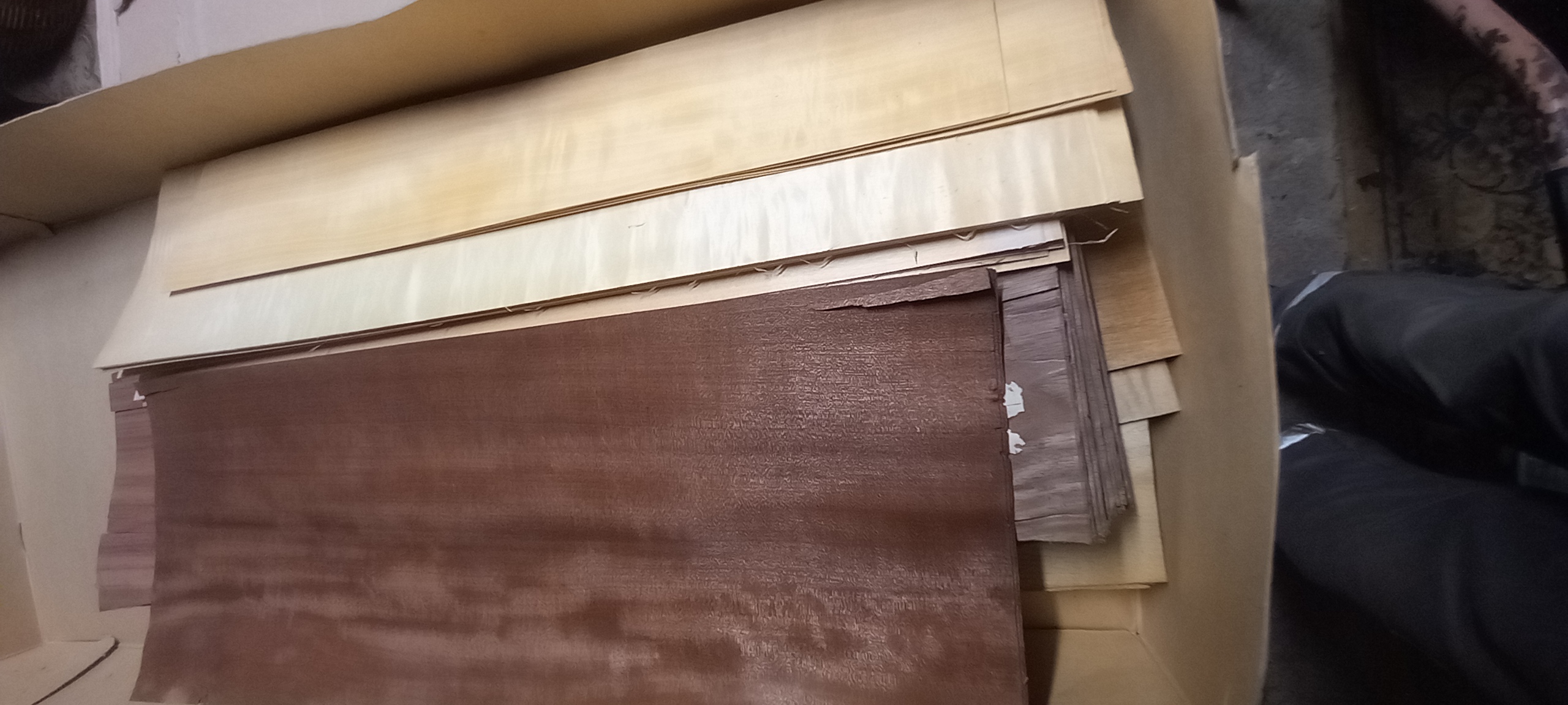 Placard En Bois De Racine De Chêne SaRaiFo - 250x63cm, ép. 0,45mm - Avec Polaire