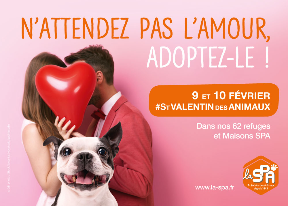 qui suis-je ? la spa de sarreguemines - radio mélodie