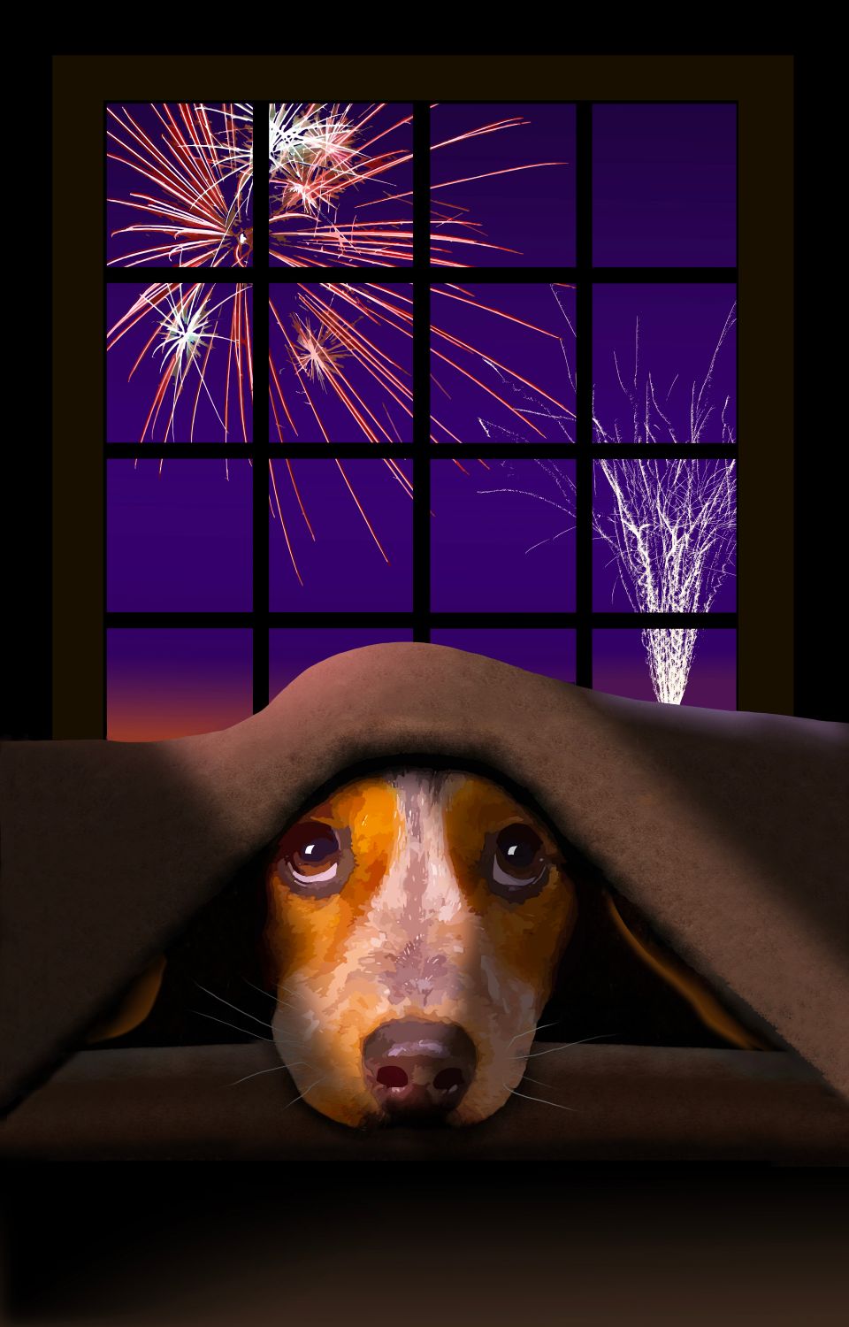 Animaux : Mon chien a peur des feux d'artifice