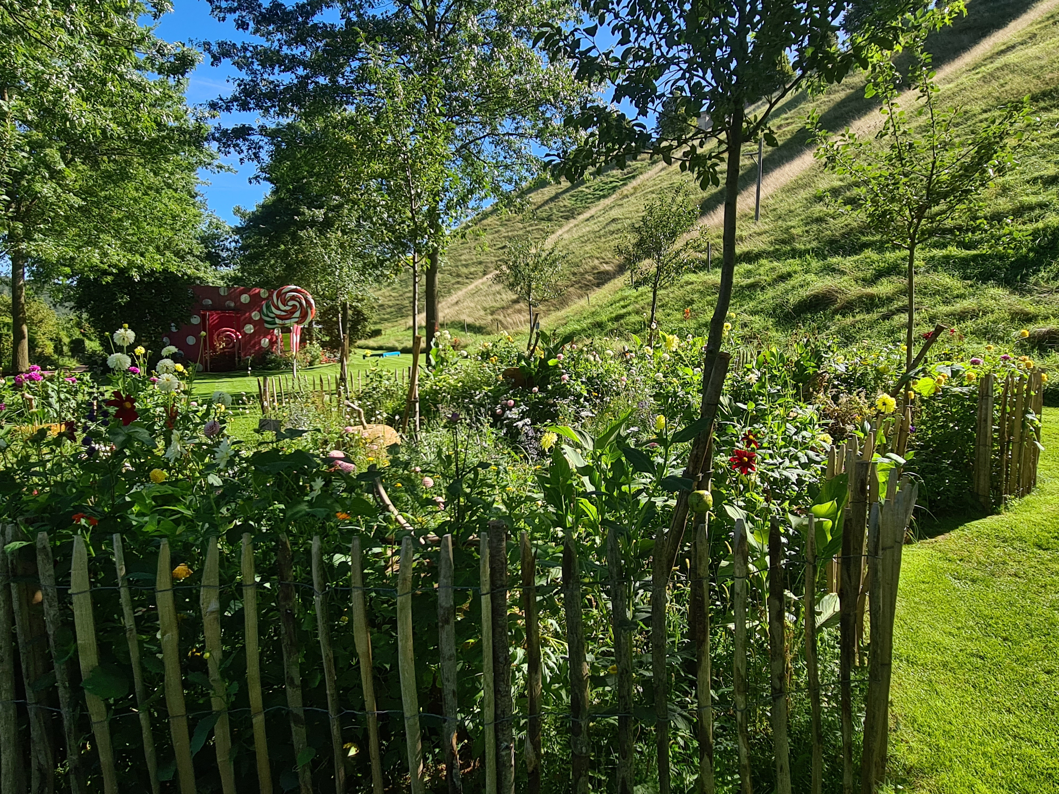 Décoration jardin à Rohrbach-lès-Bitche - Embellissez votre jardin