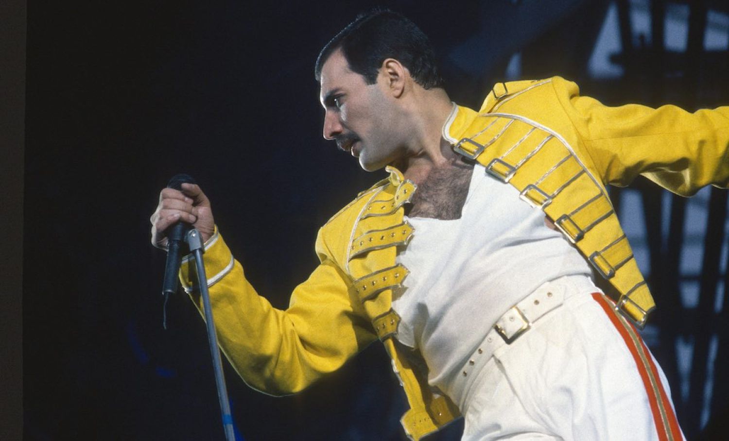 Freddie Mercury... 31 ans déjà !