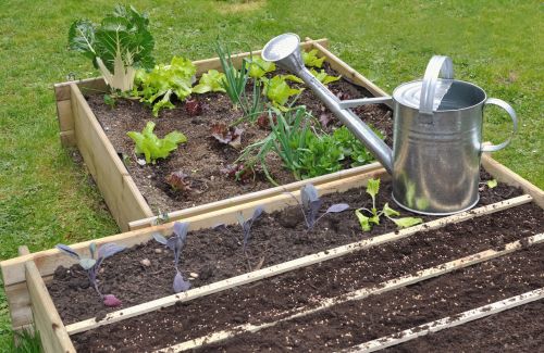 Dans mon jardin - Radio Mélodie