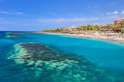 Tenerife, la destination de Sandra et de sa fille episode artwork