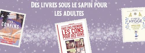 Des livres sous le sapin pour les adultes episode artwork