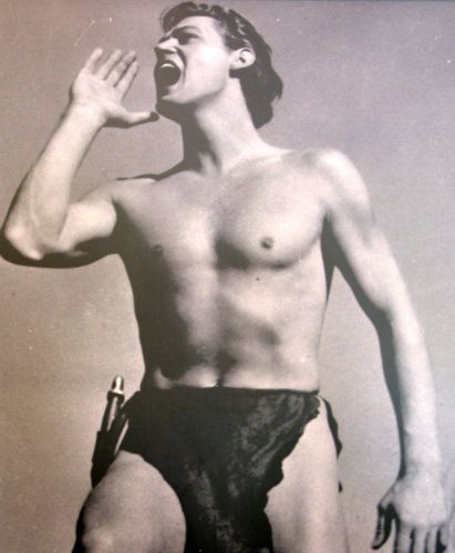 Saviez-vous que Janos Peter Weismuller, alias Tarzan à l'écran, avait de la famille en Alsace-Lorraine ? episode artwork