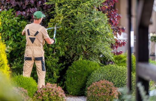 C´est quoi les rendez-vous aux jardins ?