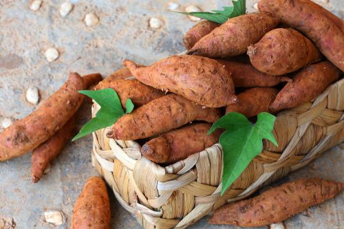 La patate douce : un tubercule aux milles vertus